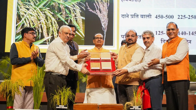 Union Agriculture Minister Shivraj Singh Chouhan stands at the center holding a display case with samples of newly launched genome-edited rice varieties, joined by senior ICAR scientists and officials during the official release event in New Delhi