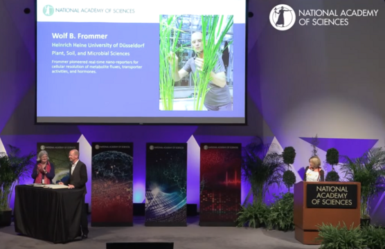 Wolf B. Frommer is honored during the U.S. National Academy of Sciences ceremony. A slide in the background shows his name, affiliation with Heinrich Heine University of Düsseldorf, and a photo of him examining plants in a greenhouse. Three people are present on stage, surrounded by plants and banners with scientific motifs.
